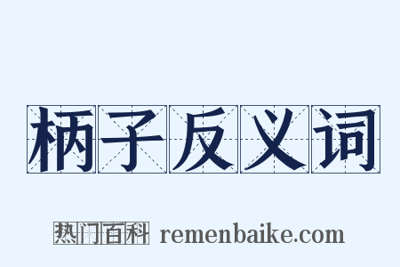 柄子反义词是什么意思的图片